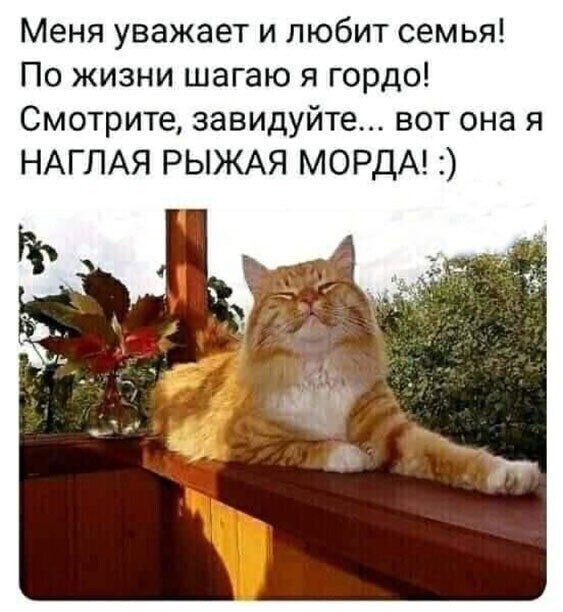 https://upforme.ru/uploads/0011/4f/72/4/t99379.jpg