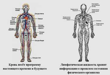 https://upforme.ru/uploads/0011/50/31/681/t347914.jpg