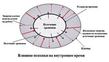 https://upforme.ru/uploads/0011/50/31/681/t720603.jpg