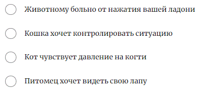 https://upforme.ru/uploads/0011/5d/92/2/200235.gif