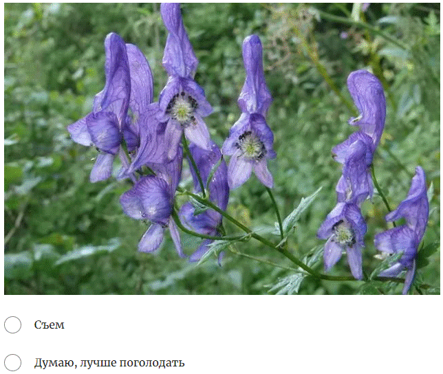 https://upforme.ru/uploads/0011/5d/92/2/241109.gif