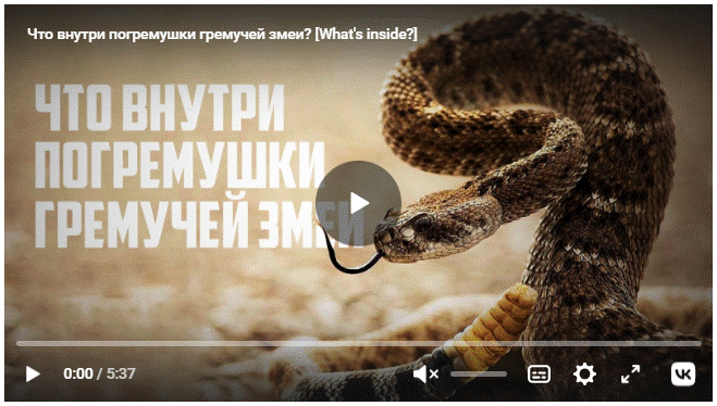 https://upforme.ru/uploads/0011/5d/92/2/26414.gif