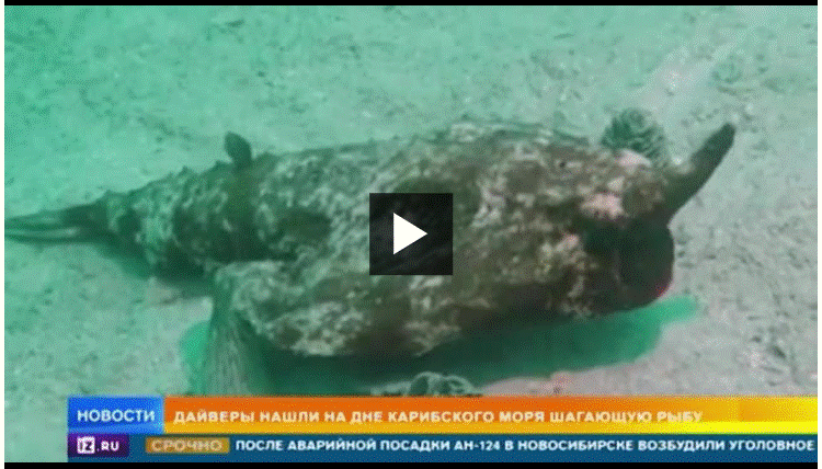 https://upforme.ru/uploads/0011/5d/92/2/349503.gif