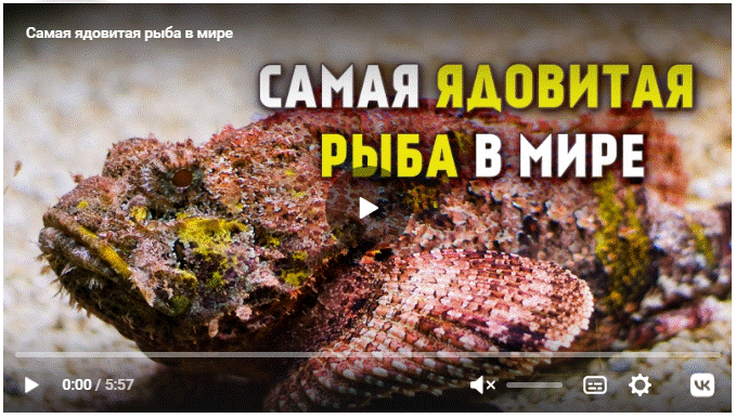 https://upforme.ru/uploads/0011/5d/92/2/474684.gif