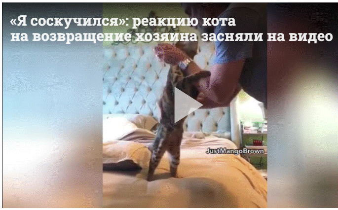 https://upforme.ru/uploads/0011/5d/92/2/533182.gif