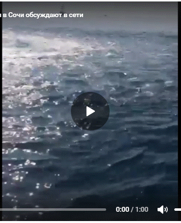 https://upforme.ru/uploads/0011/5d/92/2/931231.gif