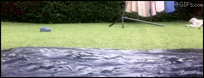 https://upforme.ru/uploads/0011/93/3d/1386/870847.gif