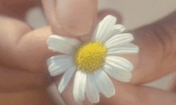 https://upforme.ru/uploads/0011/93/3d/1530/244249.gif