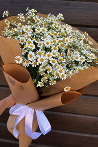 https://upforme.ru/uploads/0011/93/3d/927/970368.jpg
