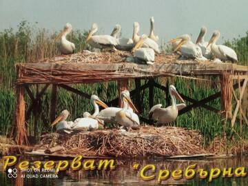 https://upforme.ru/uploads/0011/9c/2c/1364/t355262.jpg