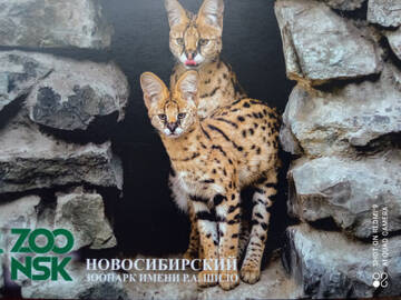 https://upforme.ru/uploads/0011/9c/2c/1364/t358090.jpg