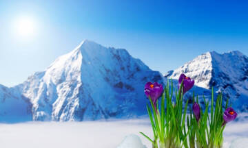 https://upforme.ru/uploads/0011/9c/2c/1364/t496603.jpg