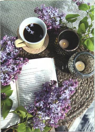 https://upforme.ru/uploads/0011/9c/2c/1393/t266810.jpg