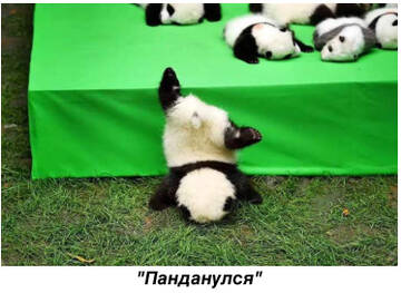 https://upforme.ru/uploads/0011/9c/2c/142/t12139.jpg