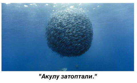 https://upforme.ru/uploads/0011/9c/2c/142/t173125.jpg