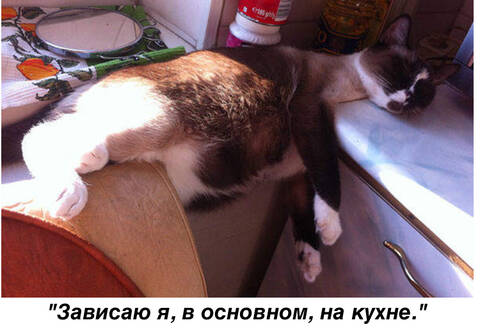 https://upforme.ru/uploads/0011/9c/2c/142/t250362.jpg