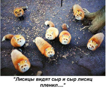 https://upforme.ru/uploads/0011/9c/2c/142/t615662.jpg
