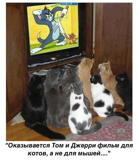https://upforme.ru/uploads/0011/9c/2c/142/t646148.jpg