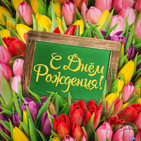 https://upforme.ru/uploads/0011/9c/2c/142/t724074.jpg