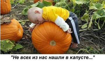 https://upforme.ru/uploads/0011/9c/2c/142/t769806.jpg
