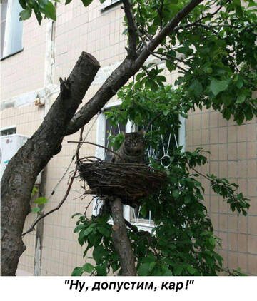 https://upforme.ru/uploads/0011/9c/2c/142/t828962.jpg
