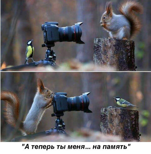 https://upforme.ru/uploads/0011/9c/2c/142/t89370.jpg