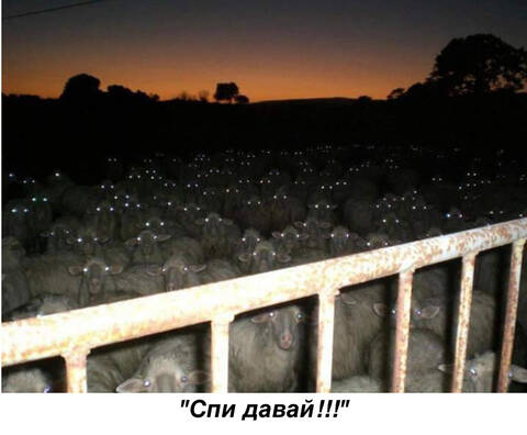 https://upforme.ru/uploads/0011/9c/2c/142/t915769.jpg