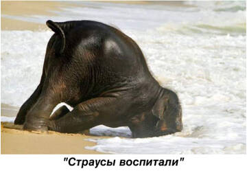https://upforme.ru/uploads/0011/9c/2c/142/t939098.jpg