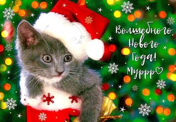 https://upforme.ru/uploads/0011/9c/2c/1705/t618540.jpg