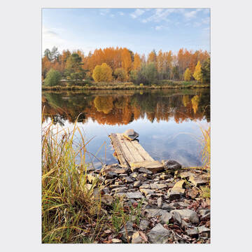 https://upforme.ru/uploads/0011/9c/2c/210/t18983.jpg