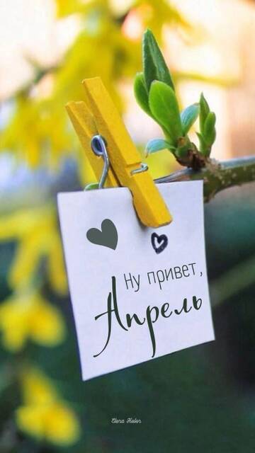 https://upforme.ru/uploads/0011/9c/2c/210/t331999.jpg
