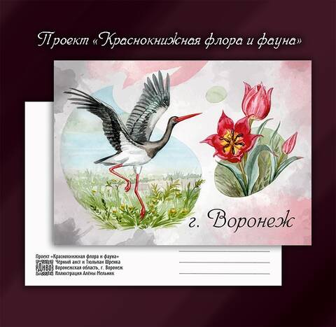 https://upforme.ru/uploads/0011/9c/2c/210/t968645.jpg