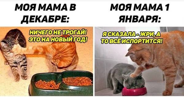 https://upforme.ru/uploads/0011/9c/2c/24/t28845.jpg