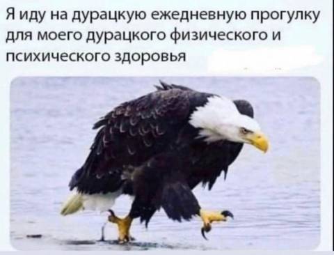 https://upforme.ru/uploads/0011/9c/2c/24/t34363.jpg
