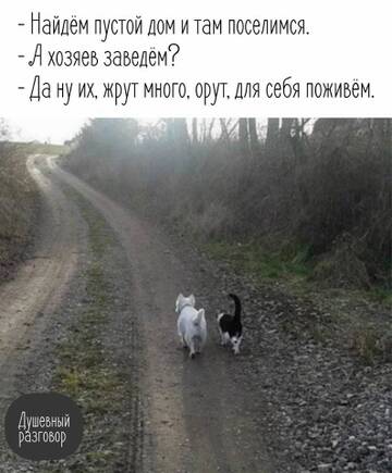 https://upforme.ru/uploads/0011/9c/2c/24/t849881.jpg