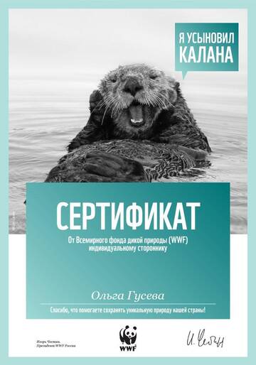 https://upforme.ru/uploads/0011/9c/2c/376/t340001.jpg