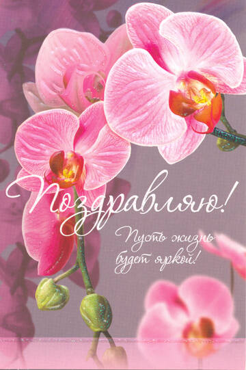 https://upforme.ru/uploads/0011/9c/2c/376/t674624.jpg