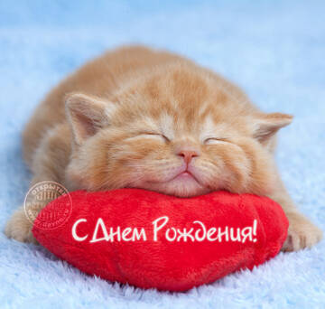https://upforme.ru/uploads/0011/9c/2c/376/t724995.jpg