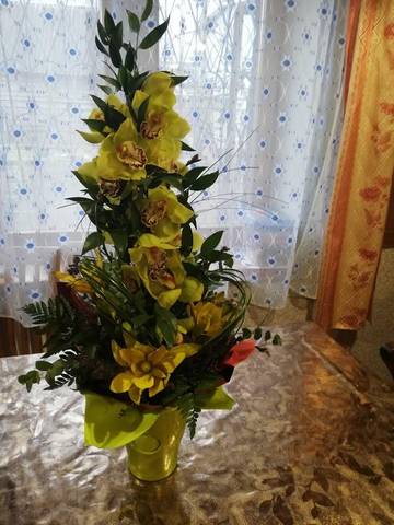https://upforme.ru/uploads/0011/9c/2c/376/t95955.jpg