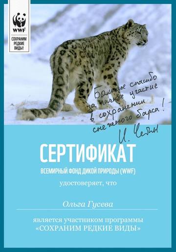 https://upforme.ru/uploads/0011/9c/2c/376/t962005.jpg