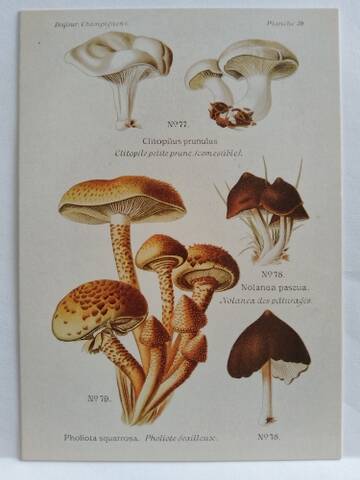 https://upforme.ru/uploads/0011/9c/2c/450/t565151.jpg