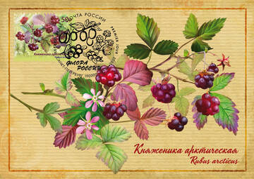 https://upforme.ru/uploads/0011/9c/2c/544/t13578.jpg