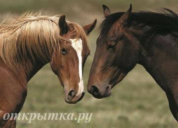 https://upforme.ru/uploads/0011/9c/2c/544/t20158.jpg