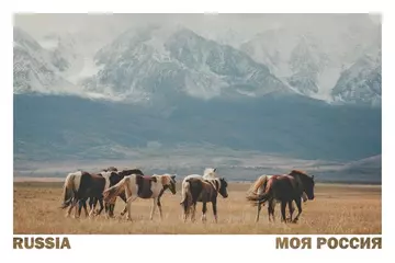 https://upforme.ru/uploads/0011/9c/2c/544/t670926.webp