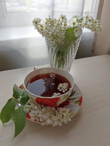 https://upforme.ru/uploads/0011/9c/2c/669/t54440.jpg