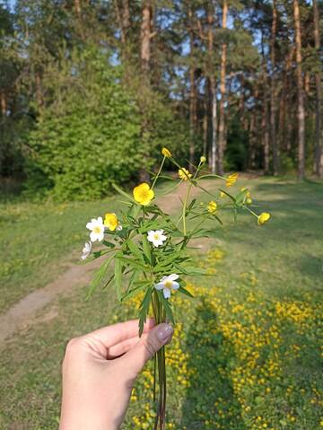 https://upforme.ru/uploads/0011/9c/2c/669/t692323.jpg