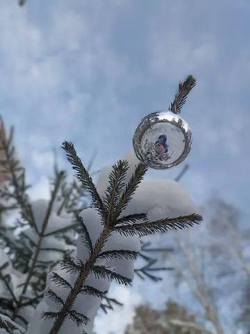 https://upforme.ru/uploads/0011/9c/2c/669/t860300.webp