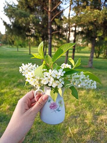 https://upforme.ru/uploads/0011/9c/2c/669/t892873.jpg