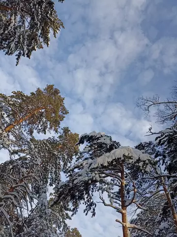https://upforme.ru/uploads/0011/9c/2c/669/t99522.webp
