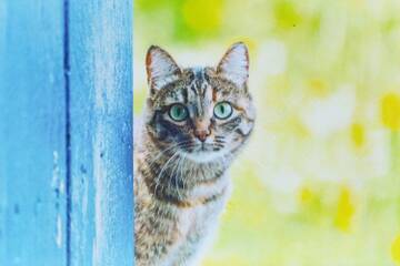 https://upforme.ru/uploads/0011/9c/2c/74/t873185.jpg